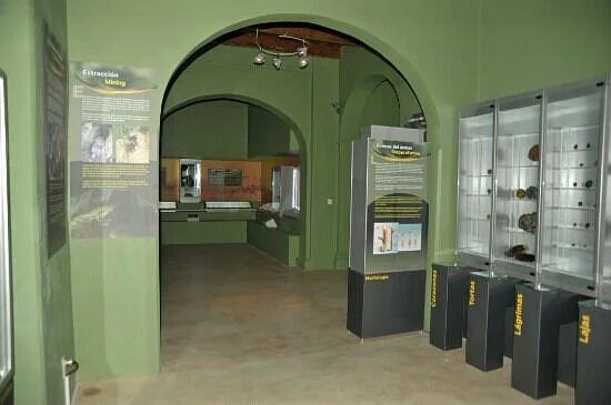 Museo del Ámbar, Lilia Mijangos