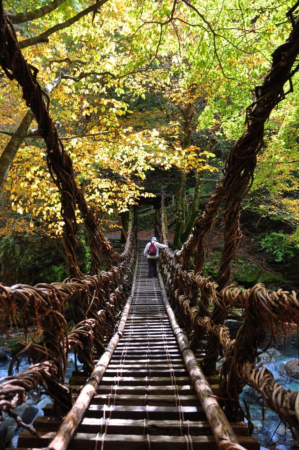 Okuiya Niju Kazurabashi Bridge