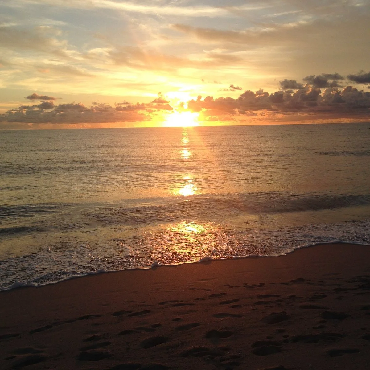Jupiter Dog Beach