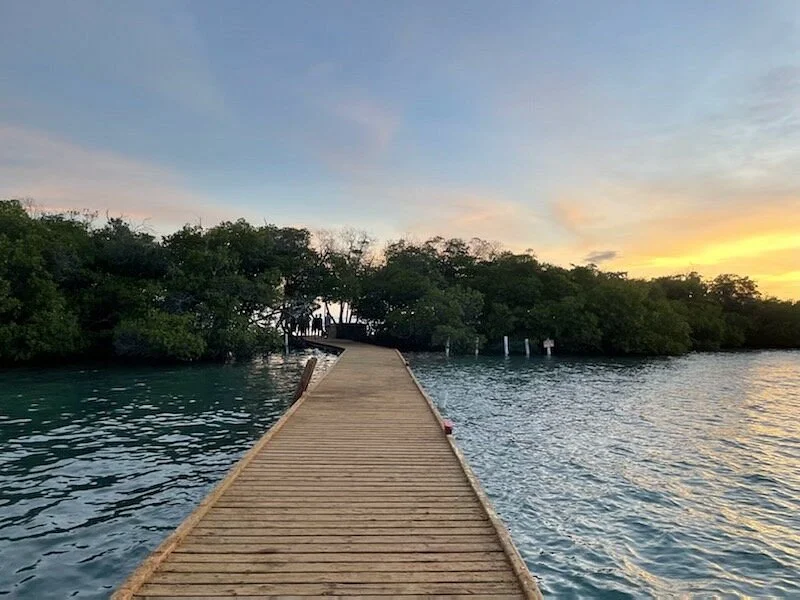 La Parguera Bioluminescent Bay