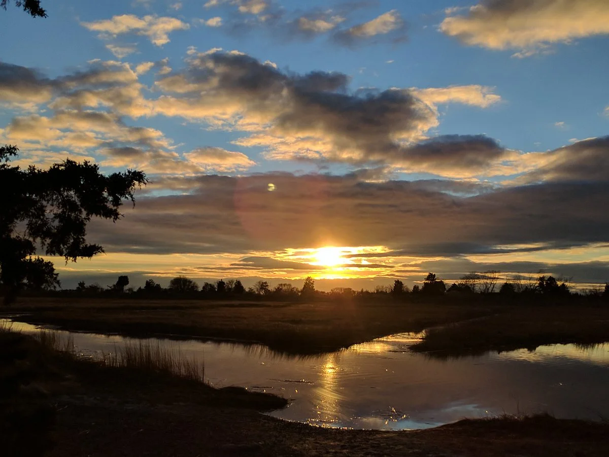 Hammonasset Beach State Park