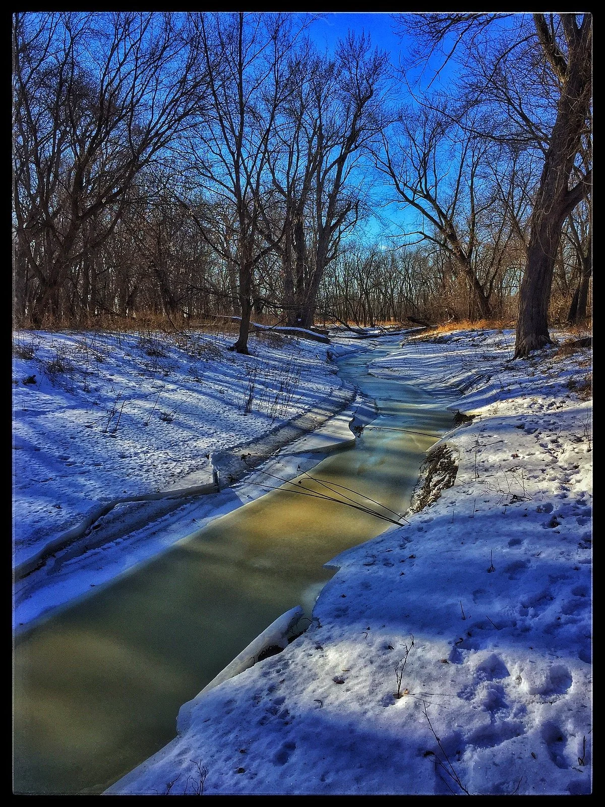 Minnesota Valley National Wildlife Refuge