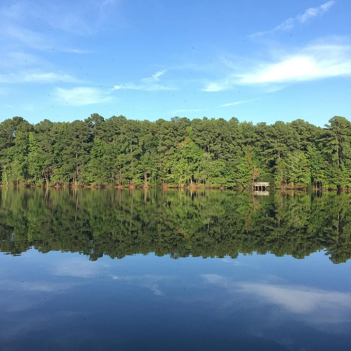 Sandy Bottom Nature Park