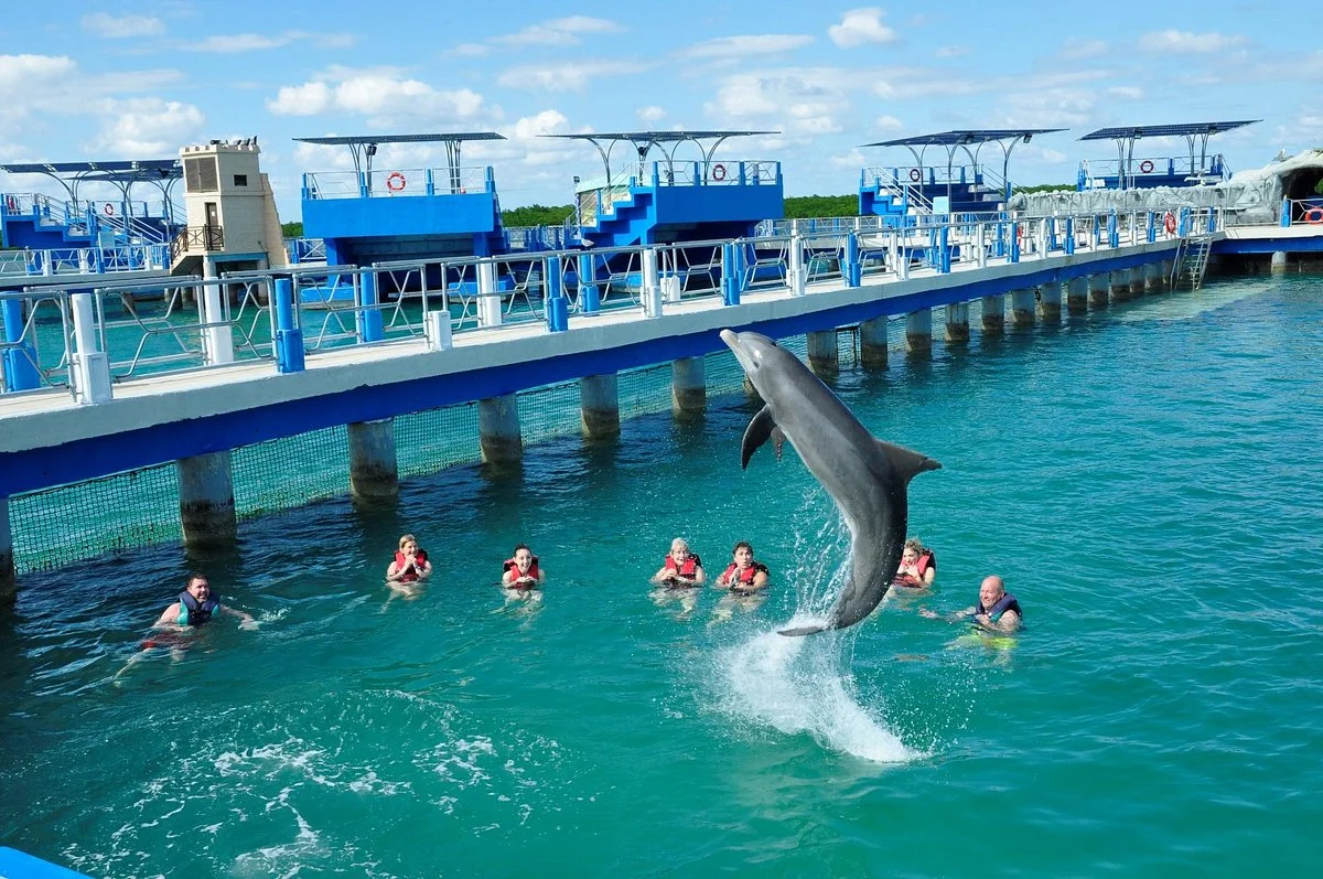Delfinario en Cayo Santa Maria