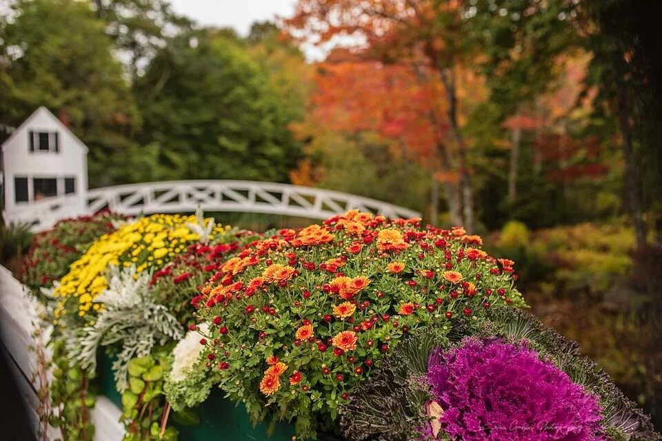 Somesville Historical Museum and Gardens