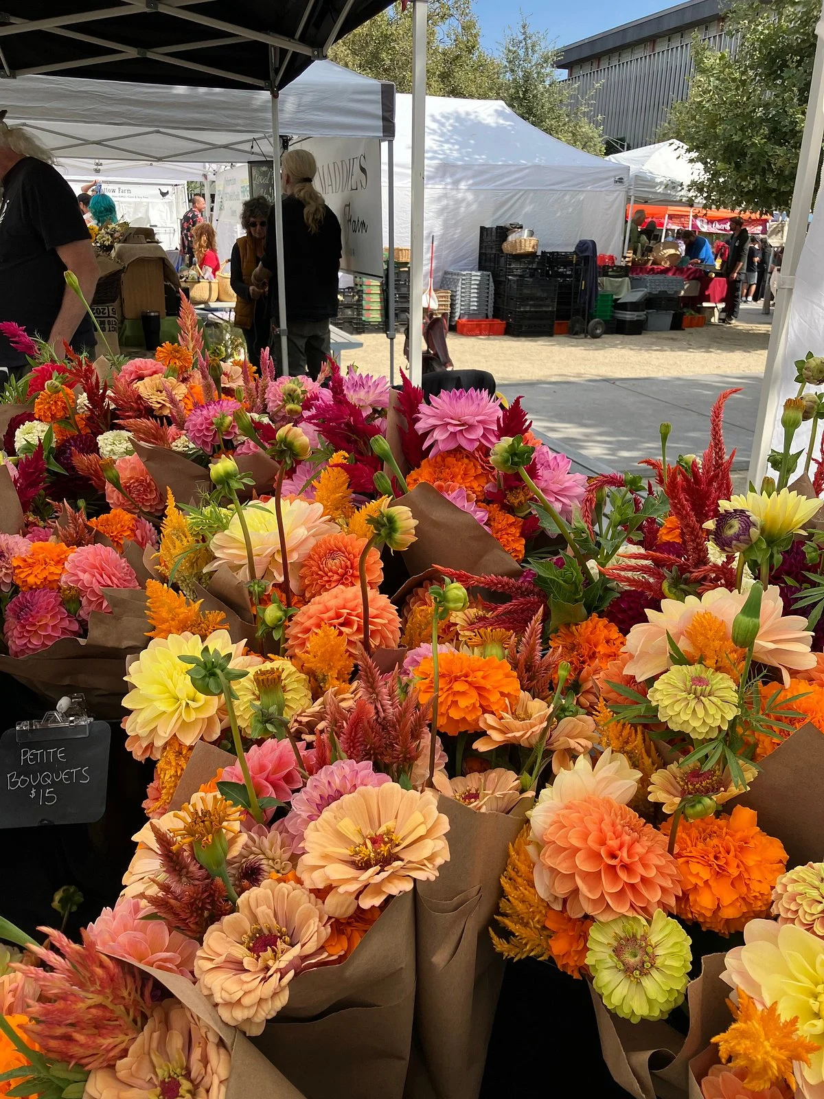 Eugene Saturday Market