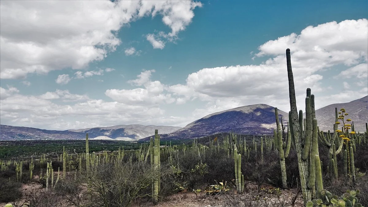 Tehuacan-Cuicatlan Biosphere Reserve