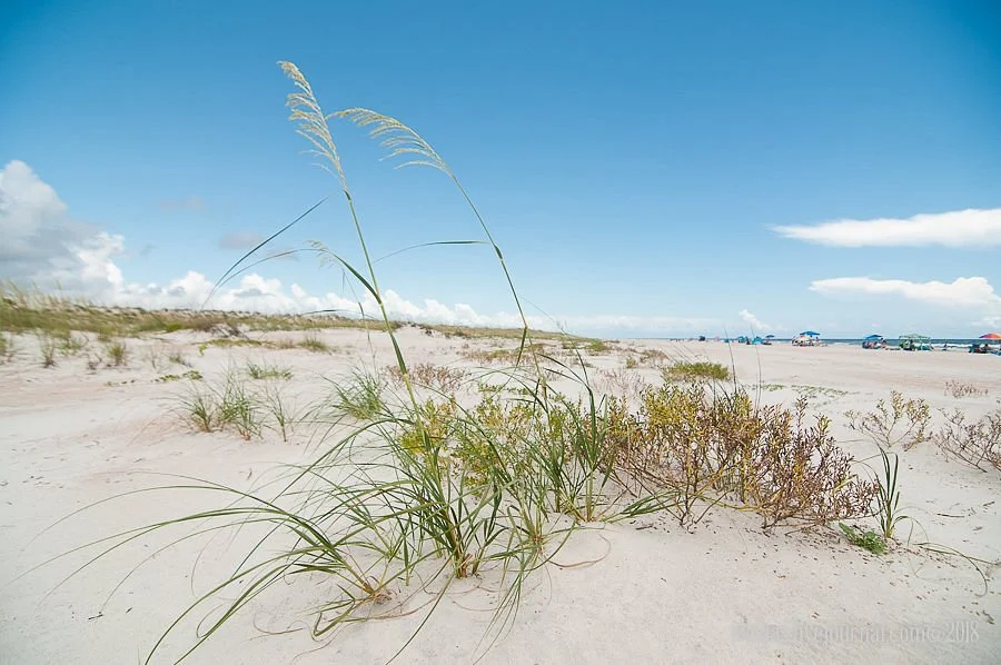 Anastasia State Park
