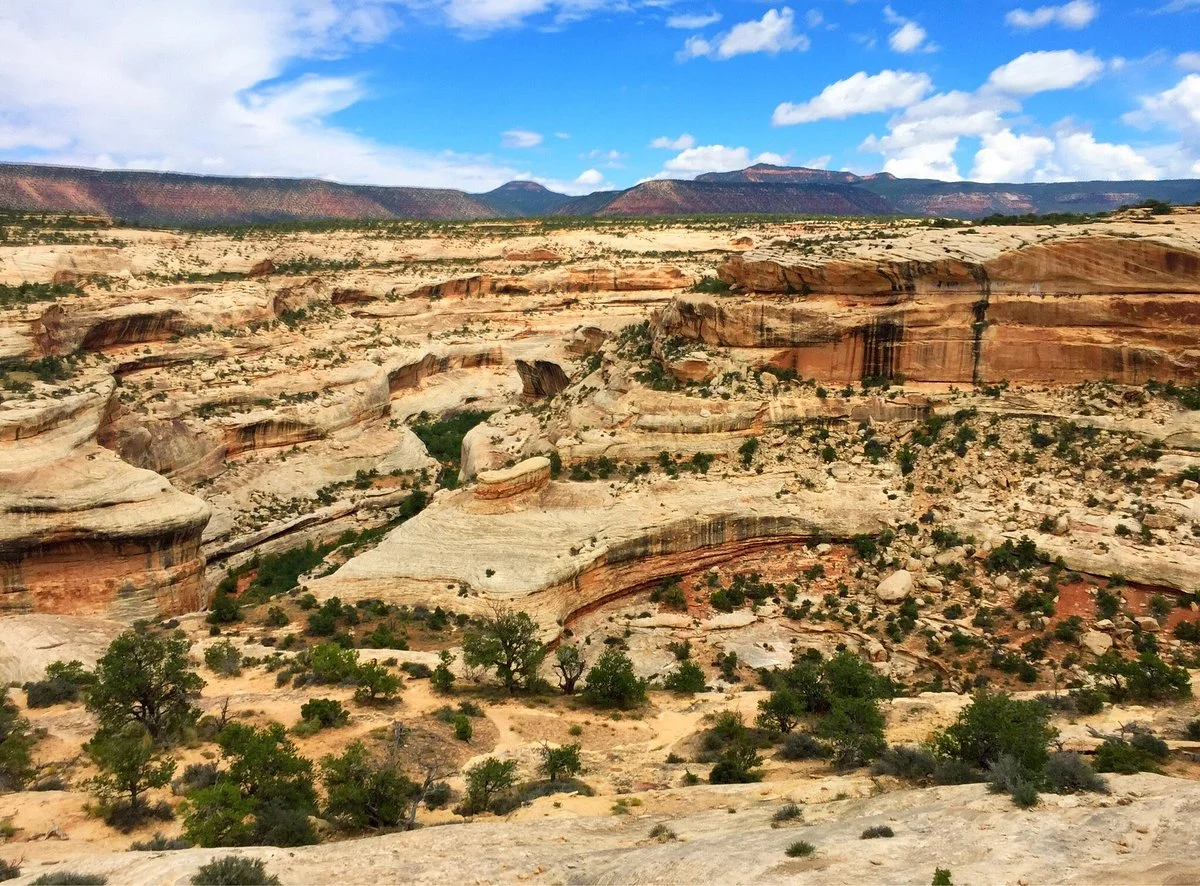Natural Bridges National Monument