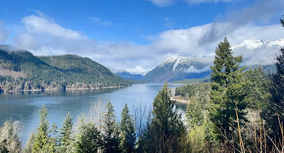 Olympic National Forest