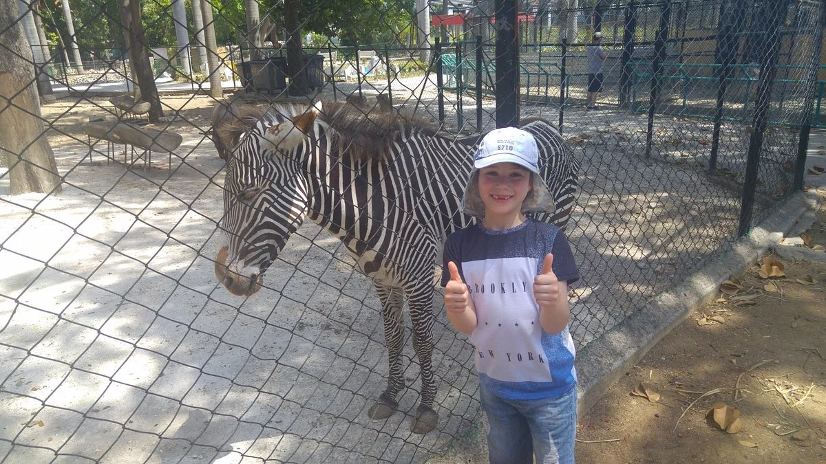 Zoologico