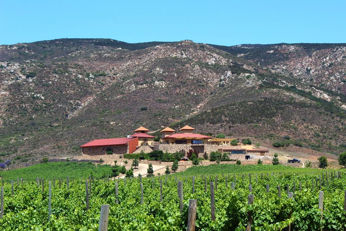 Las Nubes Bodegas y Viñedos