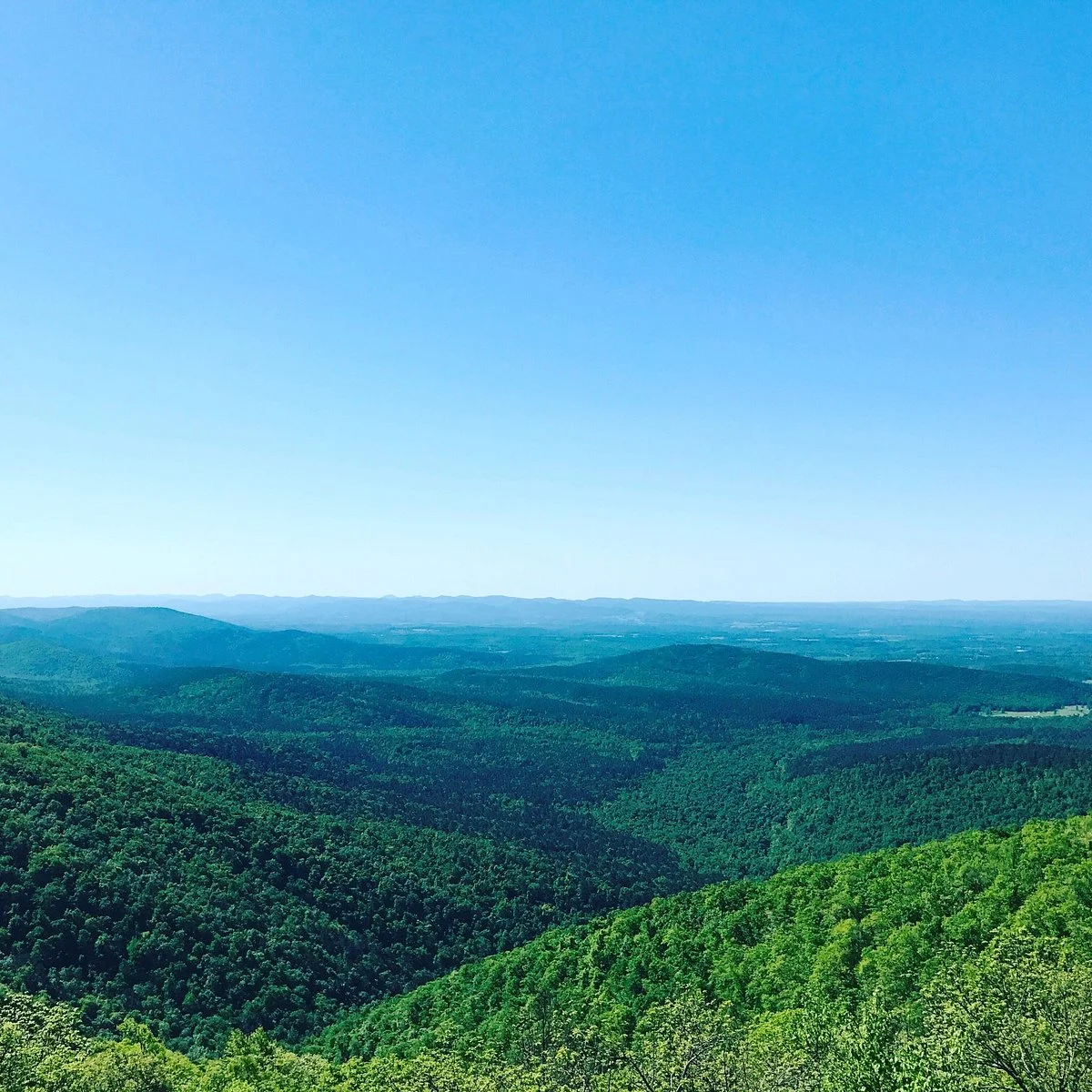 Queen Wilhelmina State Park