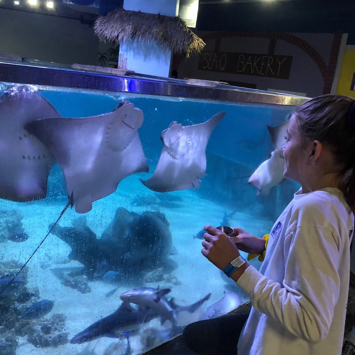 SeaQuest Fort Worth