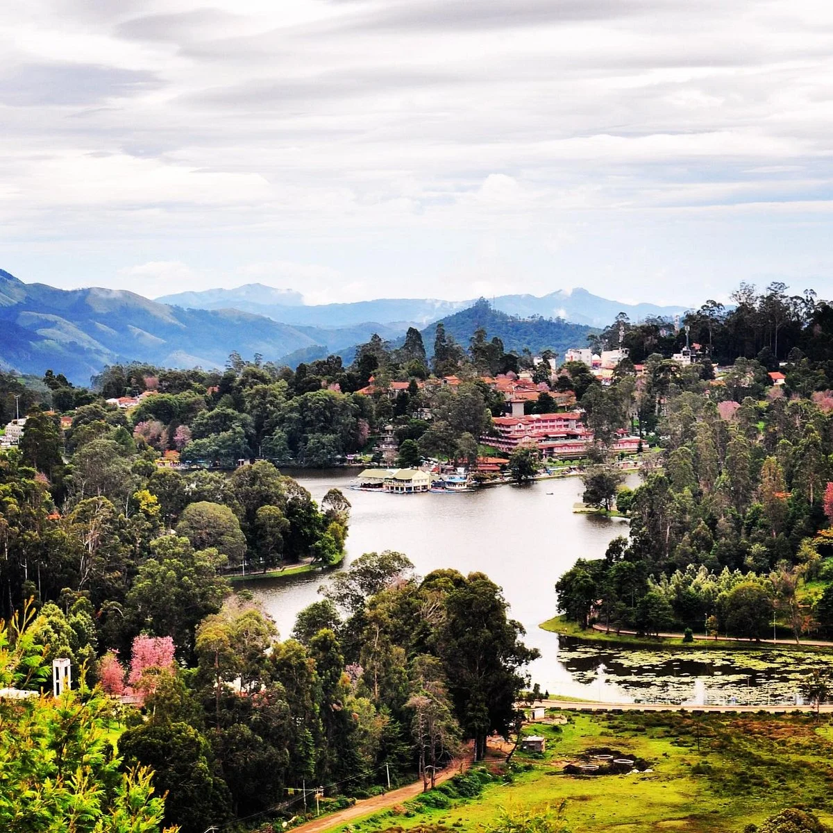 Lake View Point