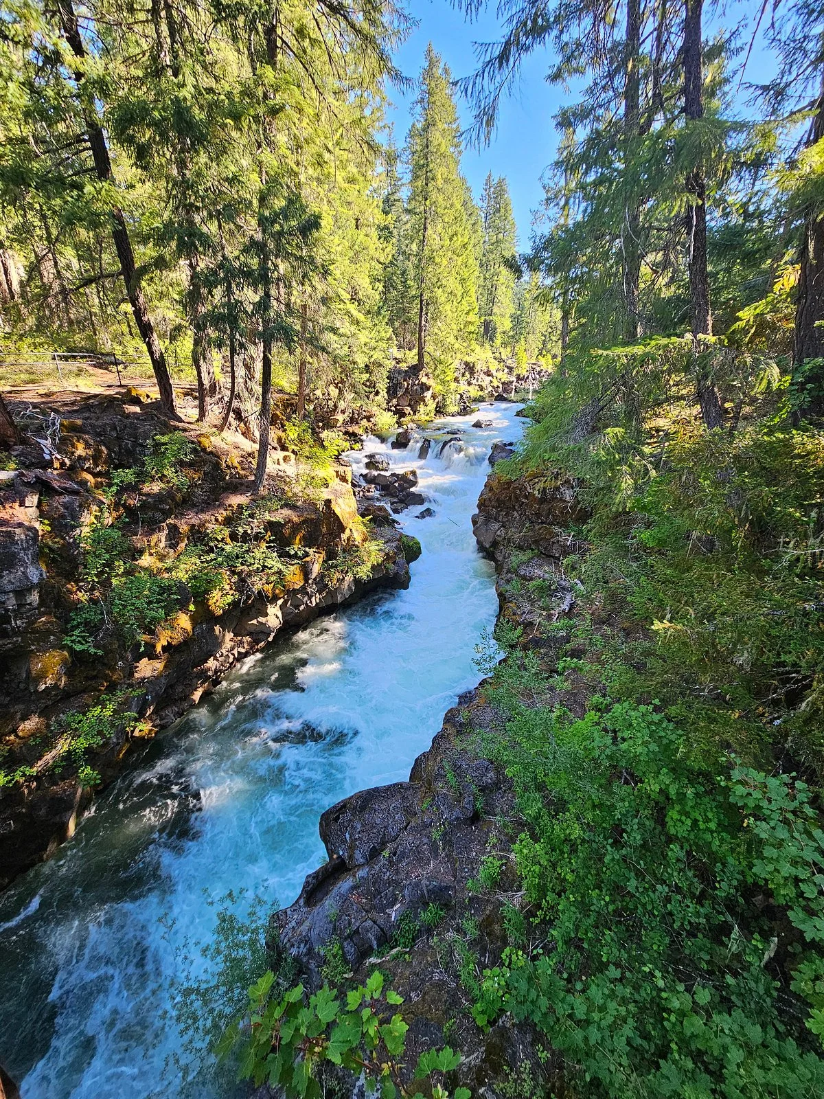 Natural Bridge Loop