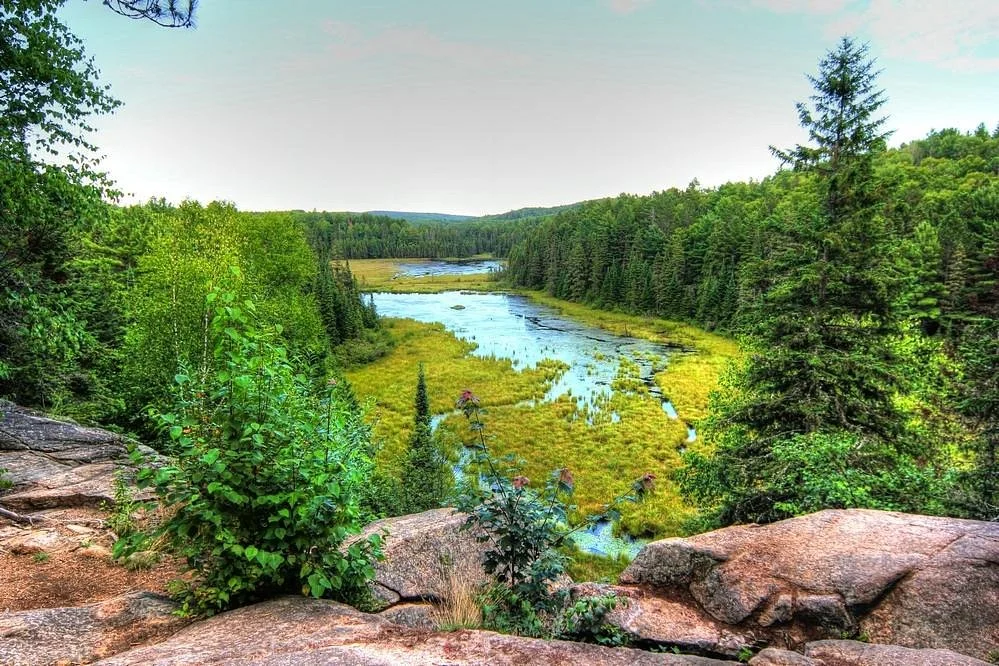 Beaver Pond Trail