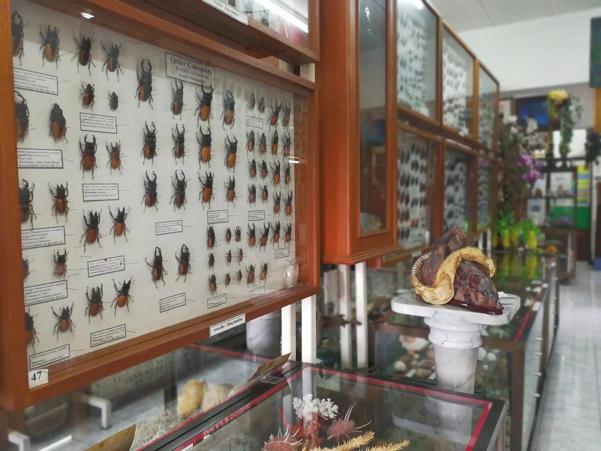 Museum of World Insects and Natural Wonders