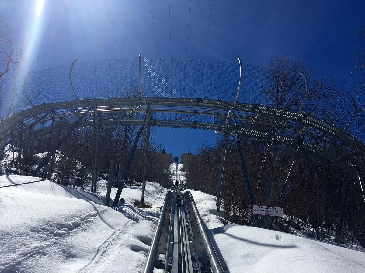 Alpine Coaster