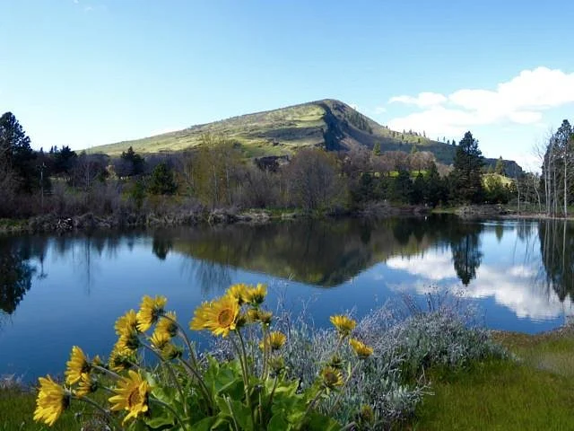 Columbia Gorge Discovery Center & Museum