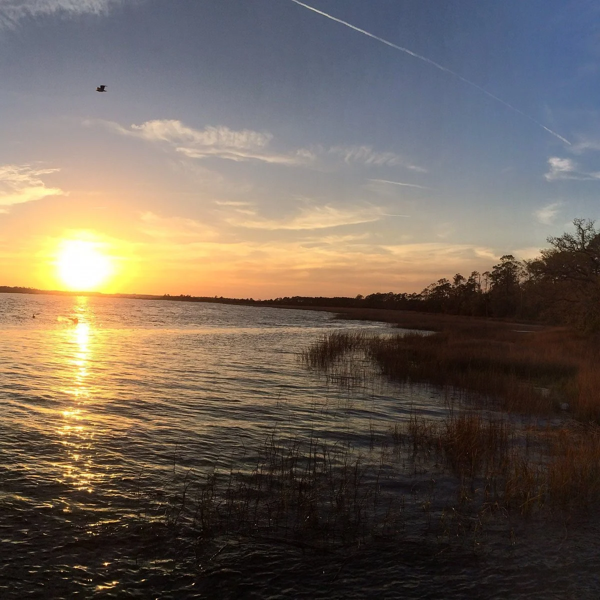 Blythe Island Regional Park
