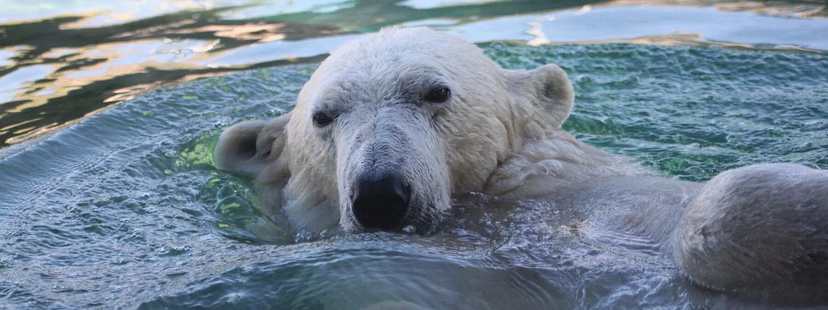 Utah's Hogle Zoo