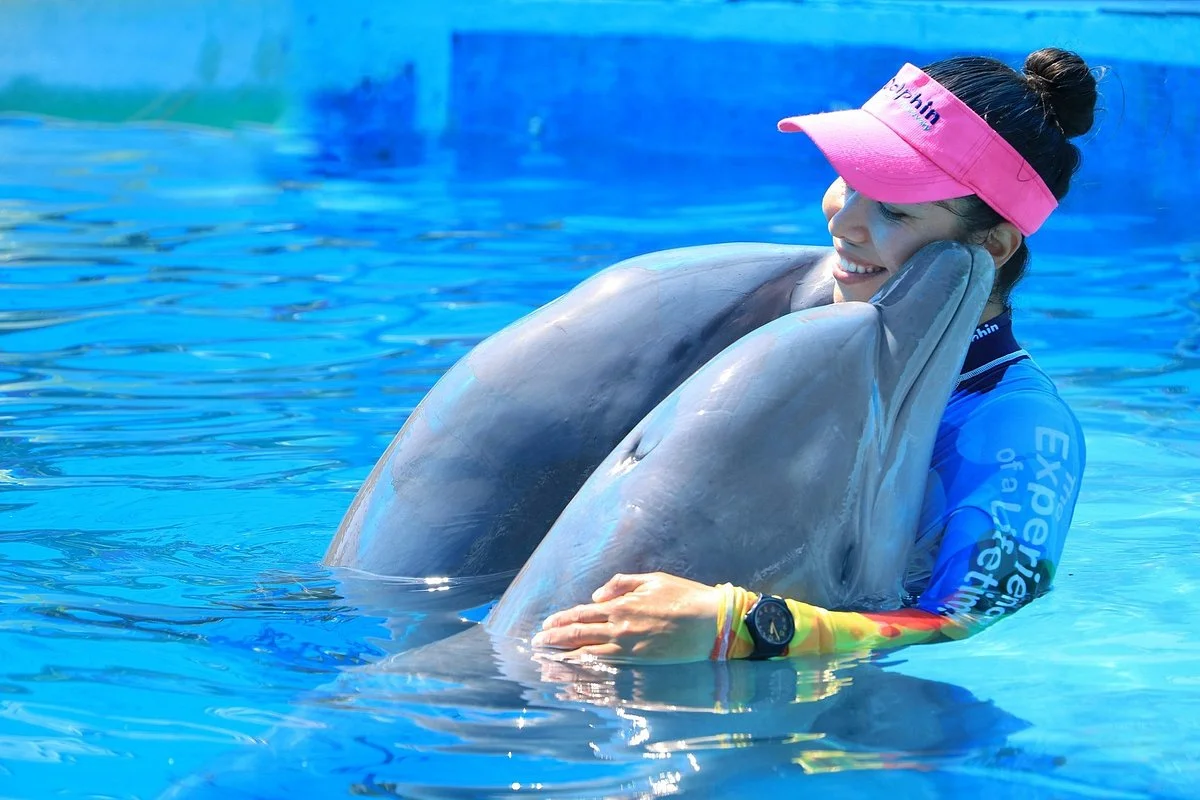Dolphin Discovery Puerto Vallarta