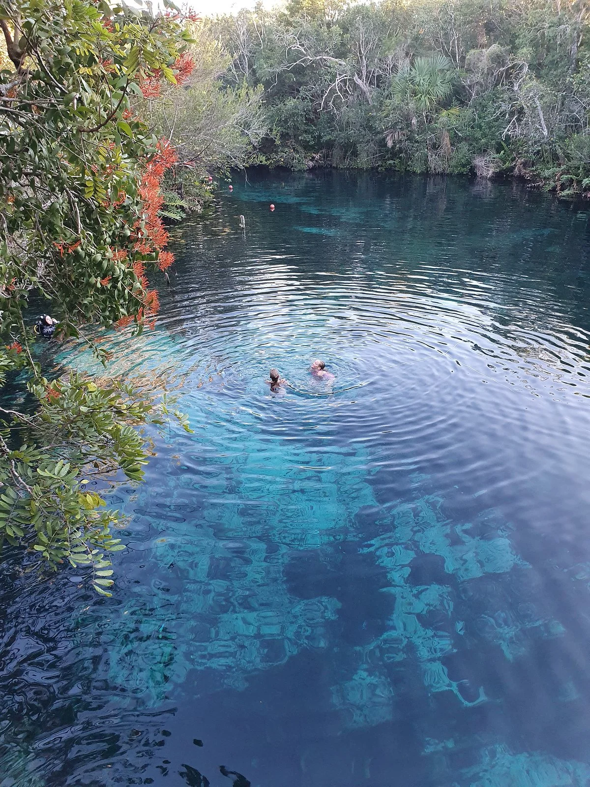 Cenote Carwash