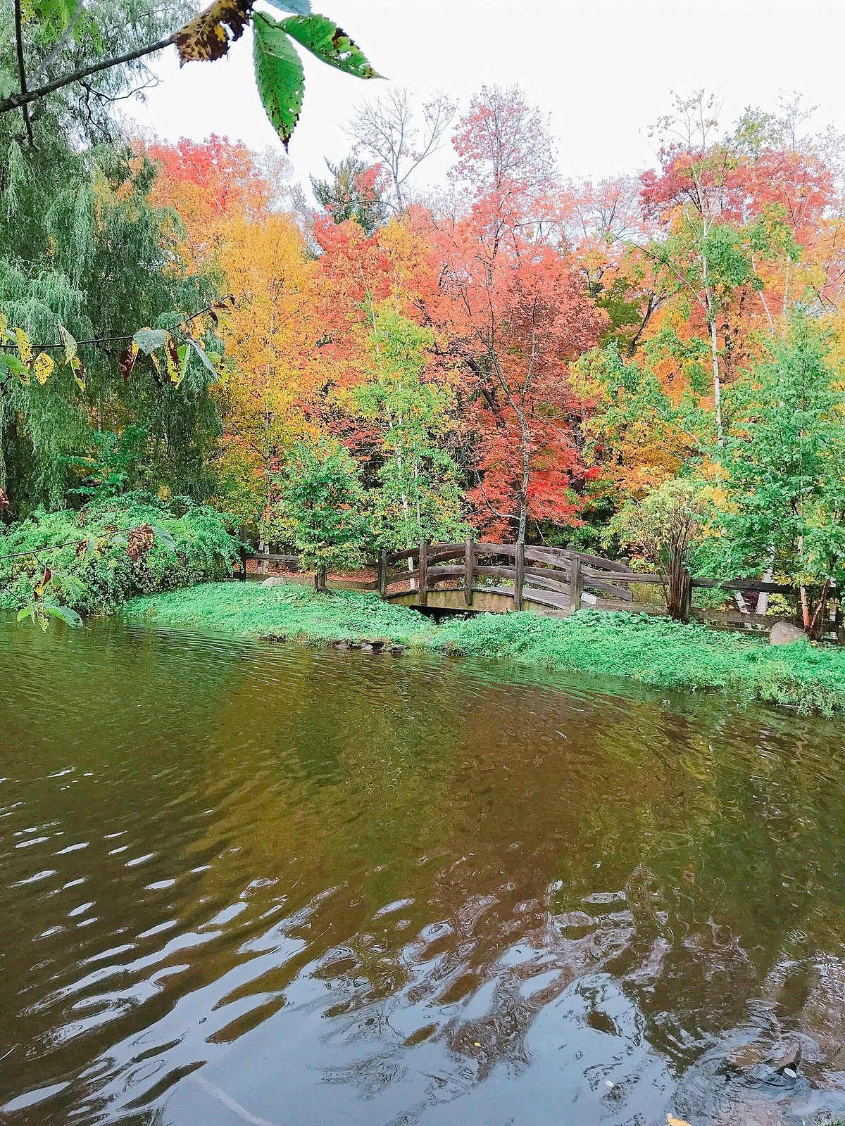 Odell Park