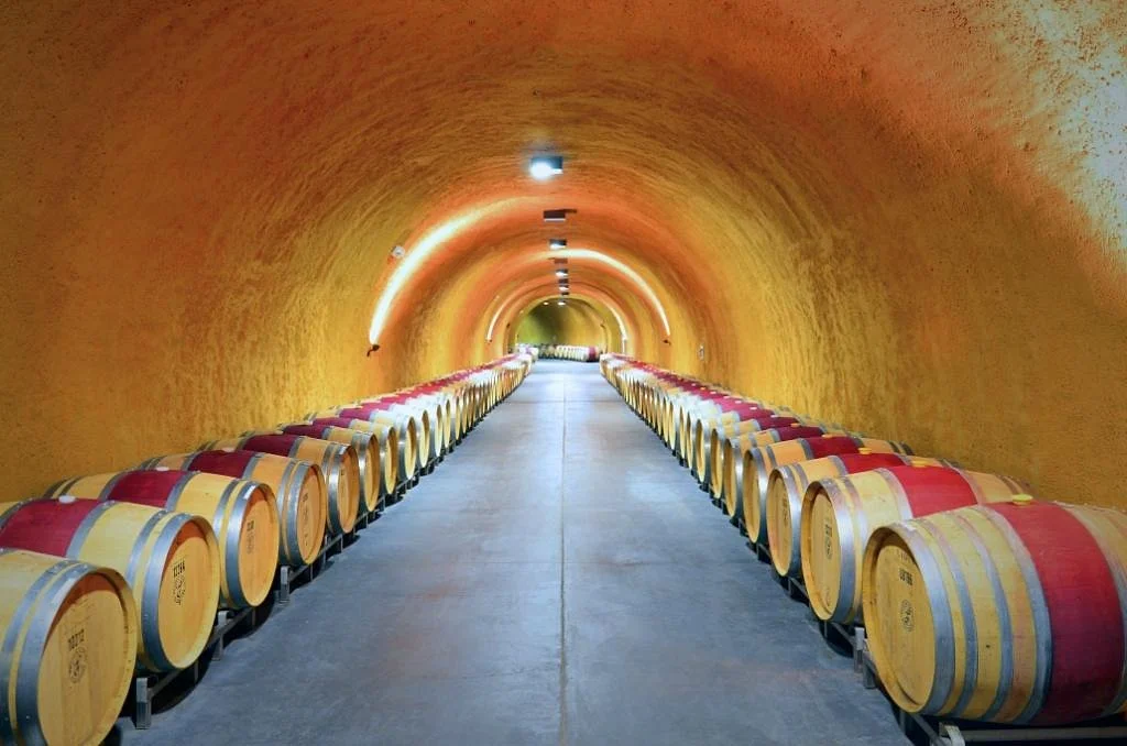 Porter Family Vineyards