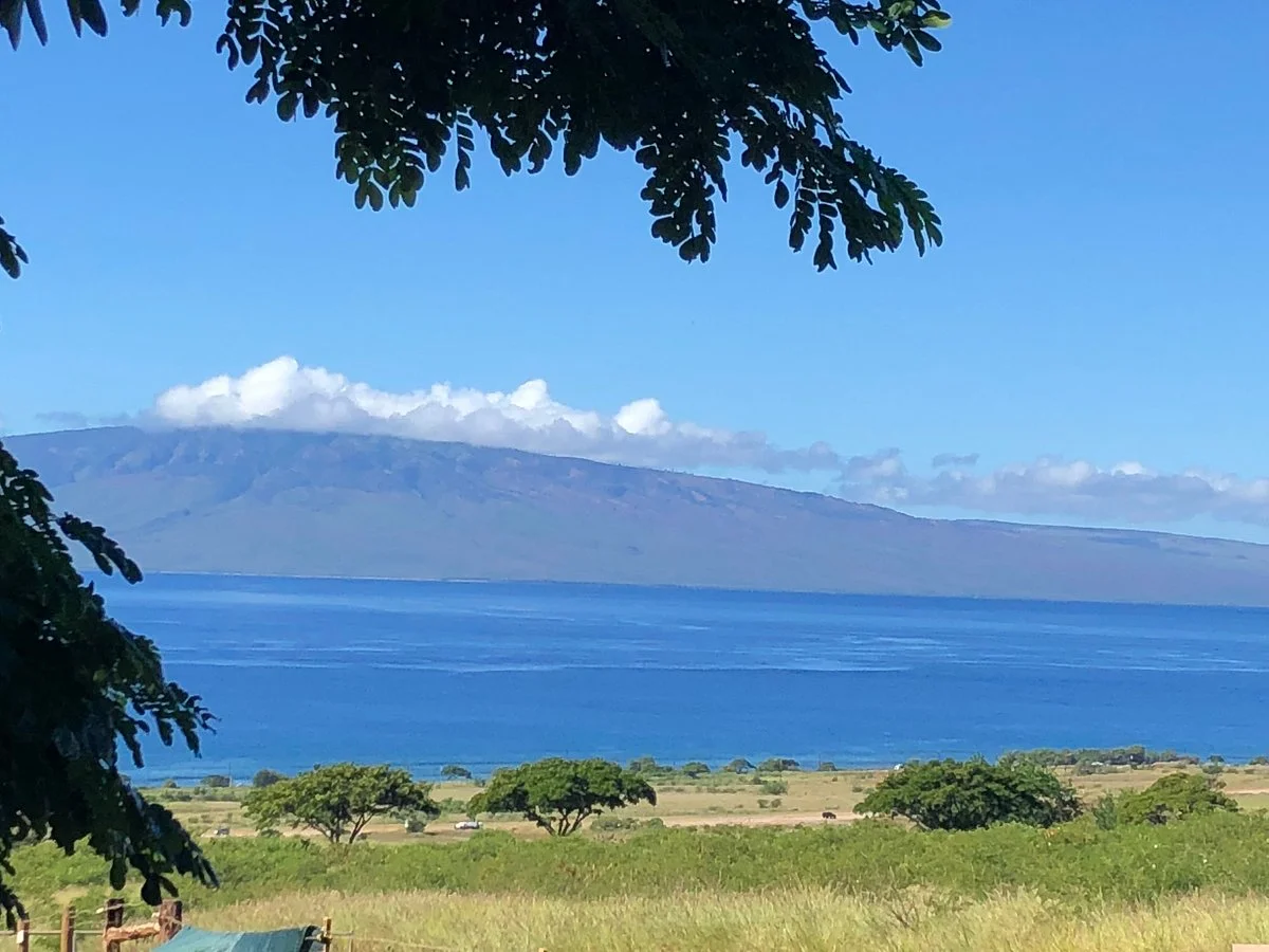 Maui Animal Farm
