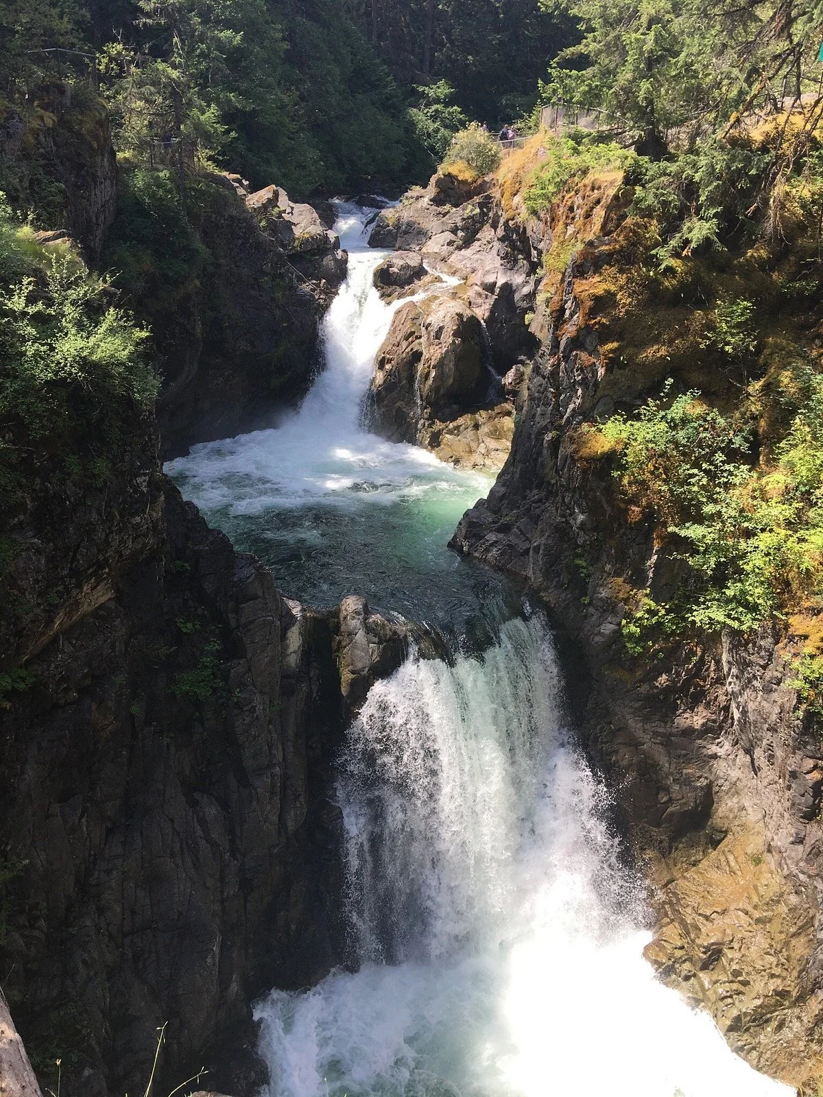Little Qualicum Falls Provincial Park