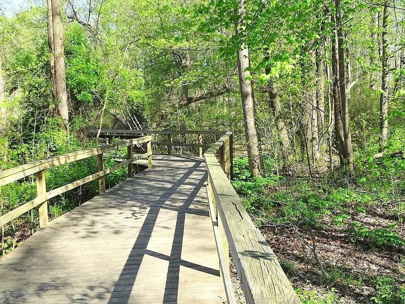 The Bog Garden at Benjamin Park