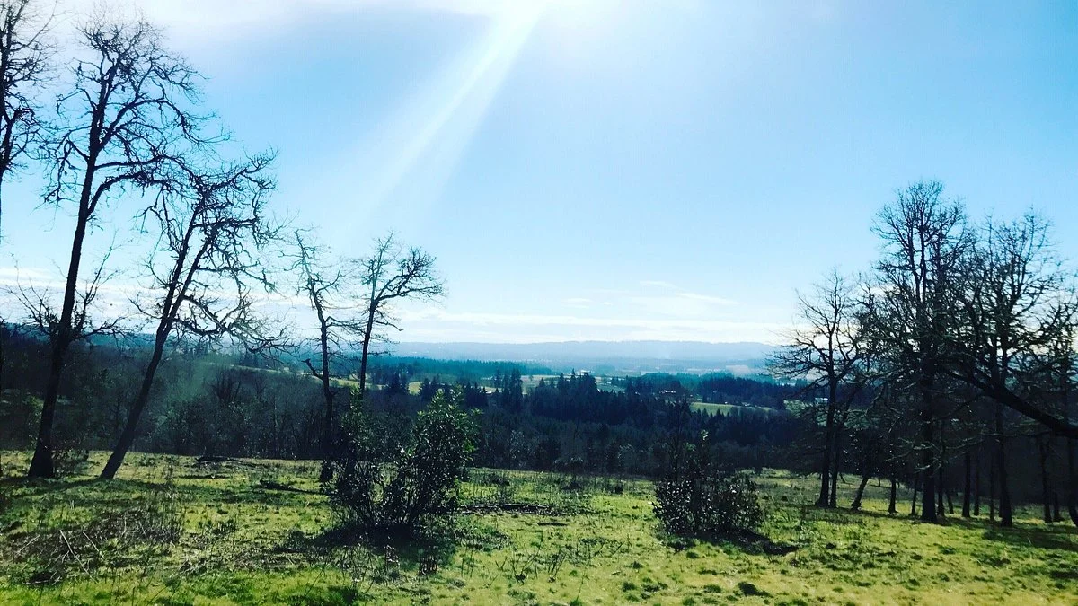 Cooper Mountain Nature Park