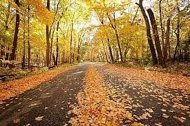 University of Wisconsin-Madison Arboretum
