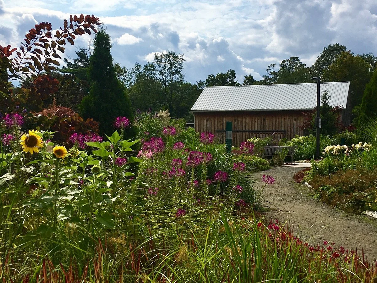 The Riverwood Conservancy