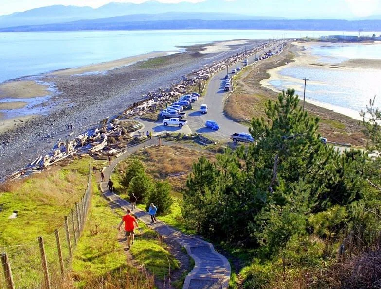 Goose Spit Park