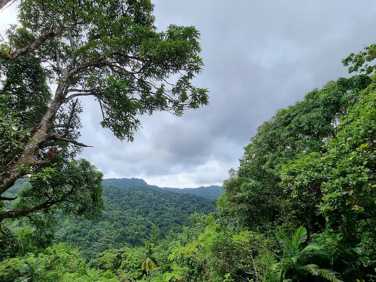 Millet Bird Sanctuary
