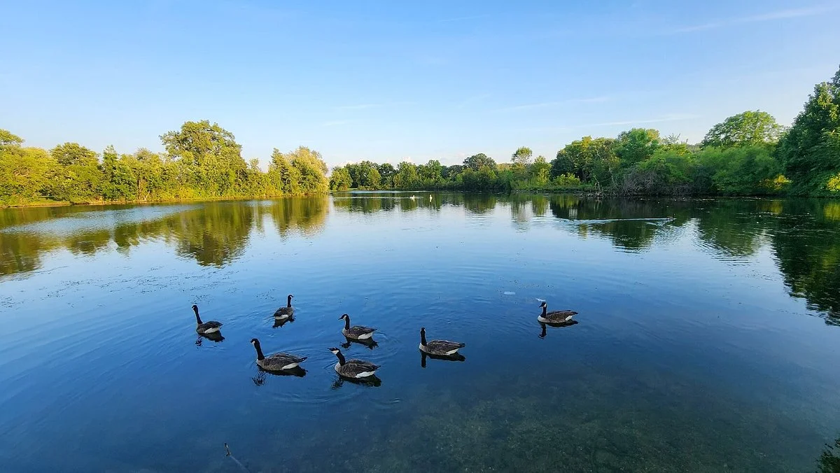 Gallup Park