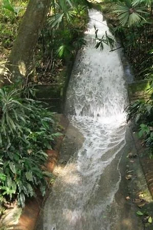 Hacienda Buena Vista
