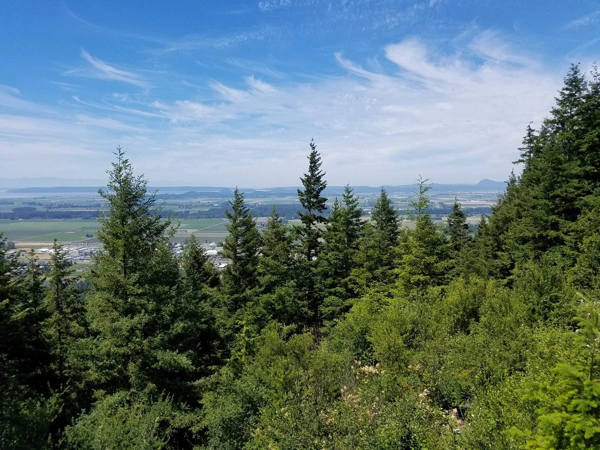 Little Mountain Park