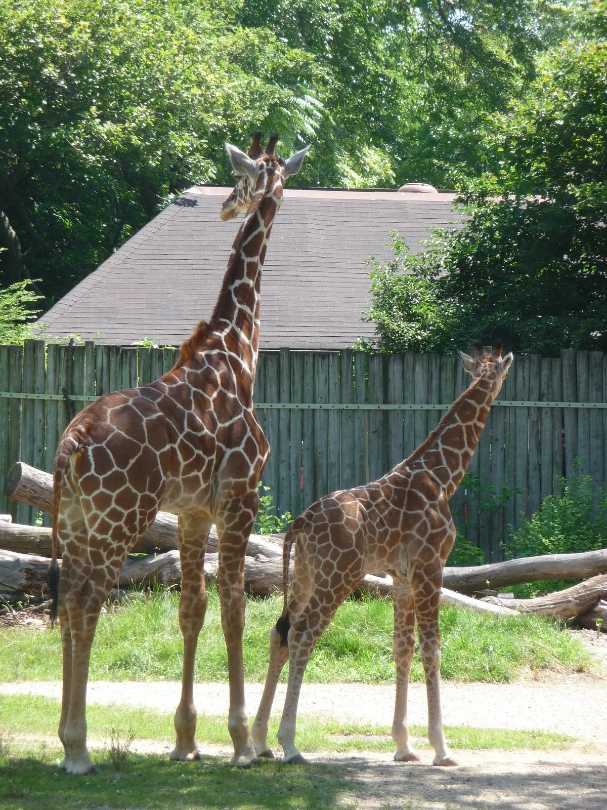 Brookfield Zoo