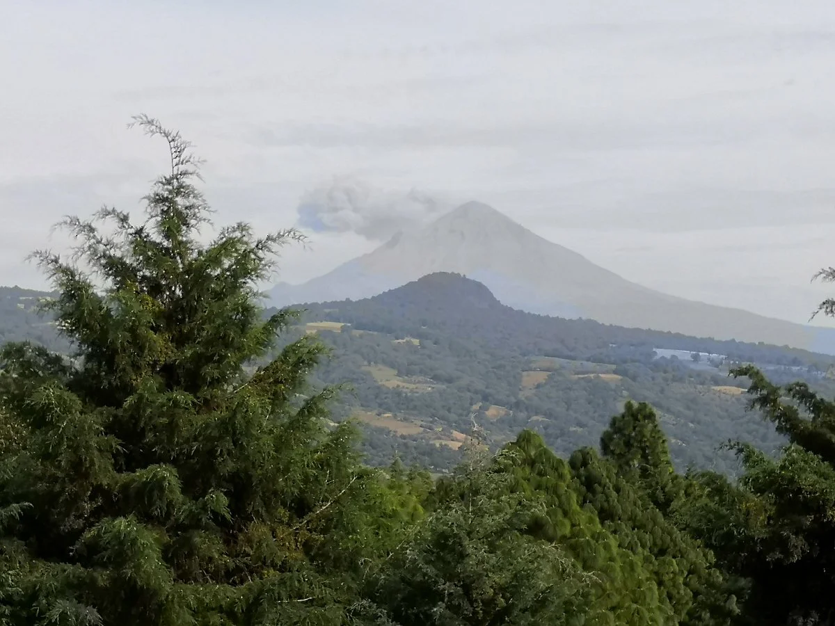 Nepopualco Parque de los Venados