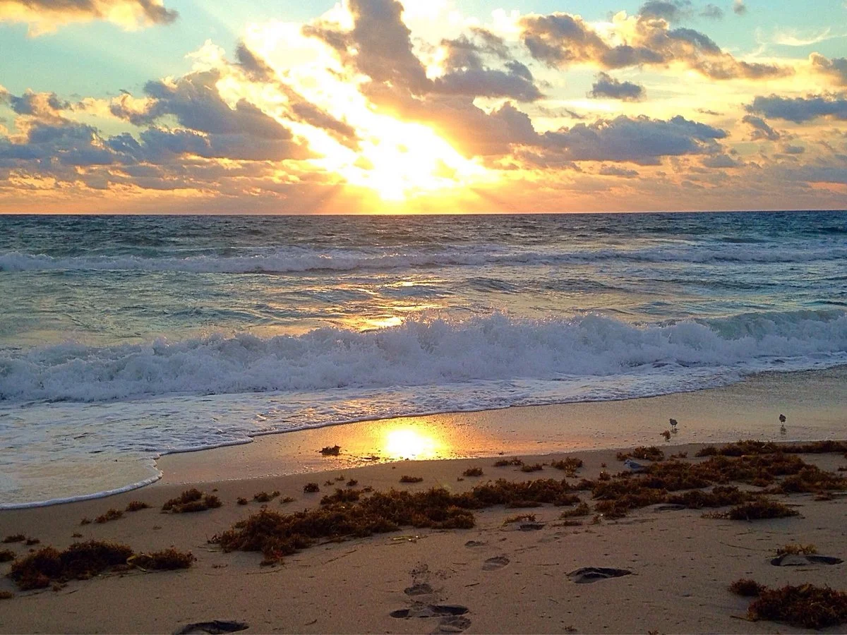 Oceanfront Park Beach