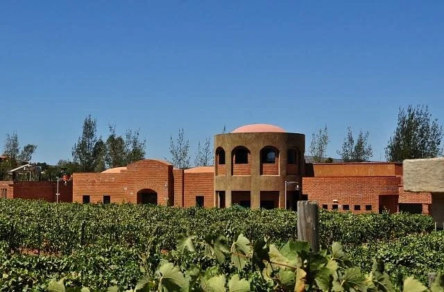 Vinisterra Vitivinícola