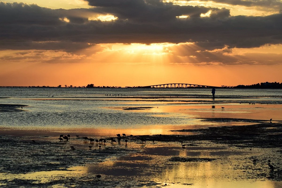 Bunche Beach