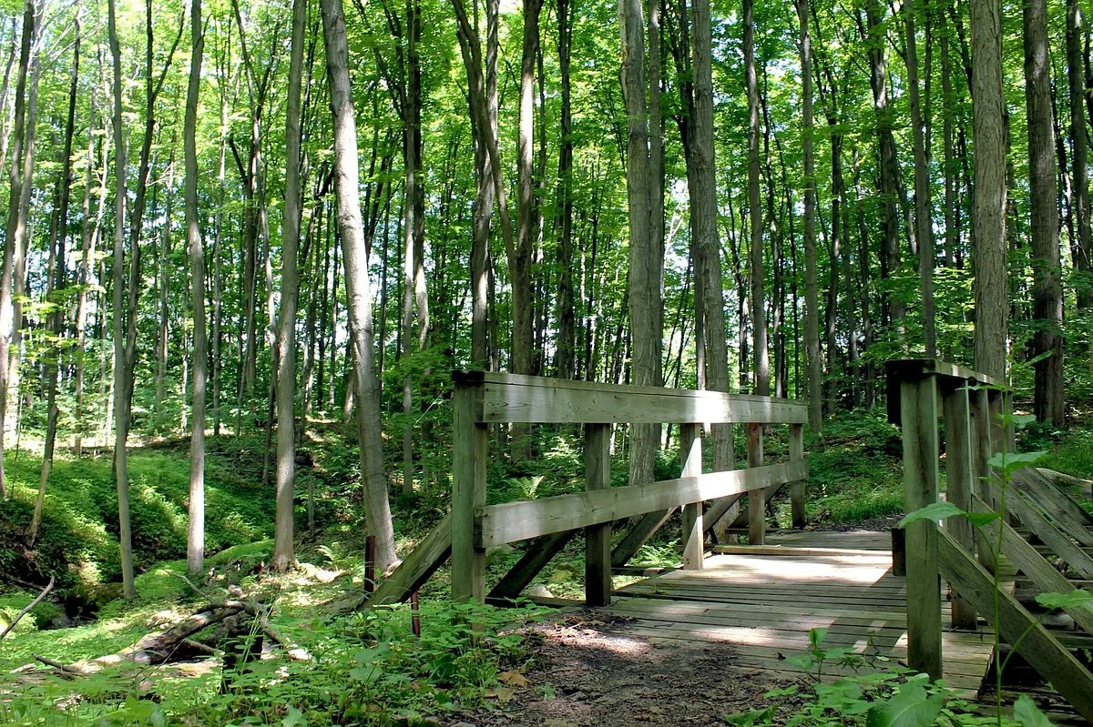Glen Haffy Conservation Park