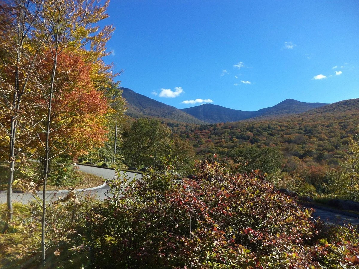 White Mountains