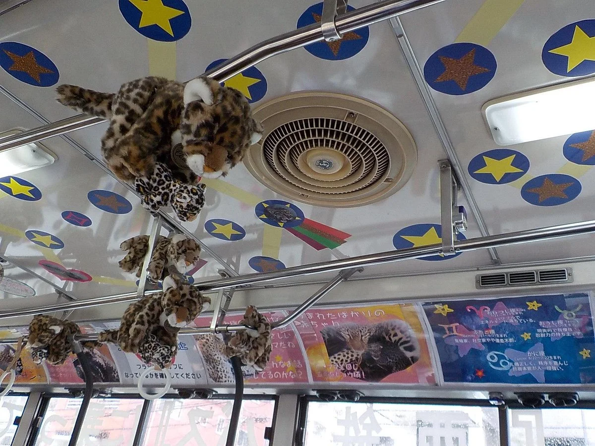 Nishitetsu Bus