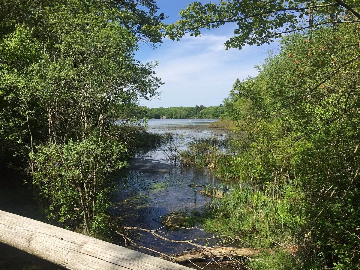 Pond Meadow Park